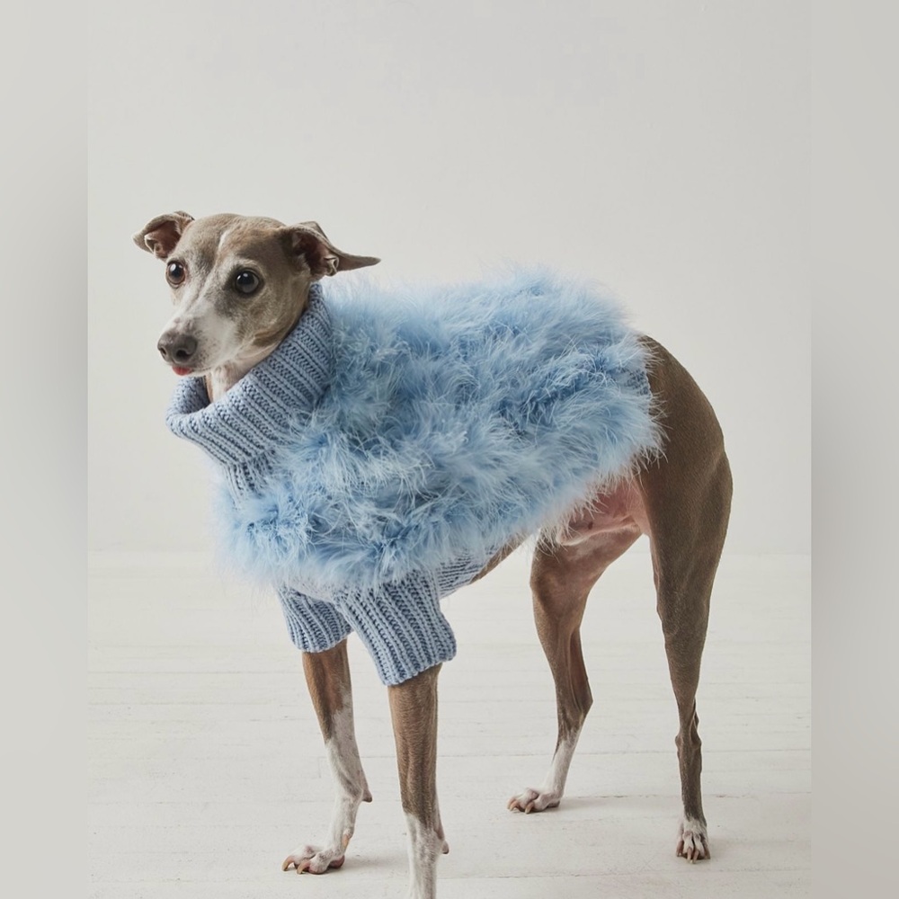 Chilly Dog Baby Blue XL Sweater
